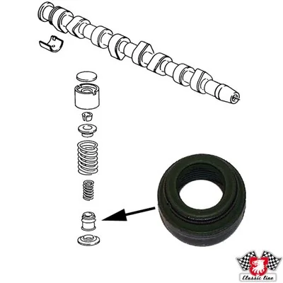 Seal Ring, valve stem